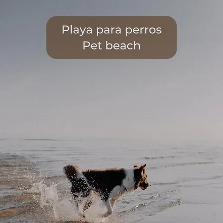 Canelita Con Piscina, Soleada Terraza Amplia Wifi Y Parking Apartment Corralejo